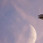 Twin Moon