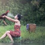 Happy Year of the Fire Rooster