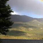 New Moon of Possibility