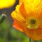 Spring Equinox