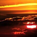 Mother Sun's Last Days