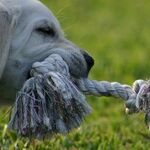 Mercury Changes Relationship Dynamics