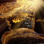 Hopeful Rays of Sagittarius Sun