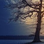 Dawn of the Aries Sun