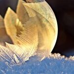 Week of the Winter Solstice