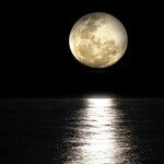 Moon Full of Feeling