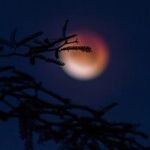 Blue Boo Moon