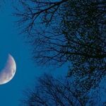 Venus and the Transformation Moon
