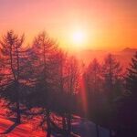 Happy Solstice