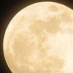 Full Moon Friday