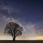 Comforts from Venus and Neptune