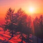 Sentimental Solstice