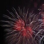 Happy Lunar New Year