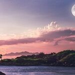New Moon, New You
