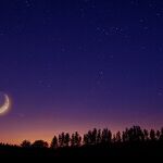 The Maternal Side of Venus