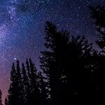 Star Teachers of a Solar Square