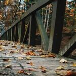 Crossing the Bridge of Seasons