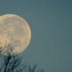 In the Season of Transformation