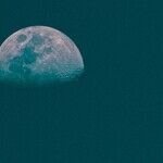 The Newest Moon