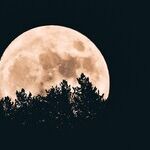 In the Week of a Leo Full Moon