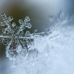 Thoughts on a Season