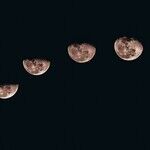 Ramp Up to the New Moon