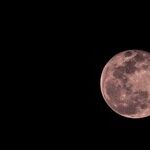 Pink Moon Mood