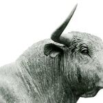 Mars Goes Bullish