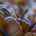 A Mabon Toast