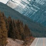 Backward, Forward and Onward