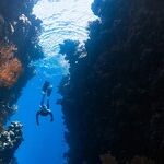 Diving into Pisces Season
