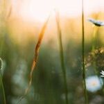 Spring Equinox
