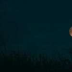 The Harvest Moon Drums On