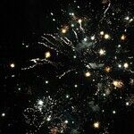 2026 Career Disasters You Just Might Avoid