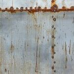 Rust-Out Is In!