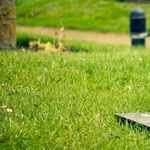 A Note to the Remote