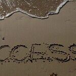 Boast Your Way to Success, Loser