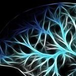 An Empty Brain is a Happy Brain