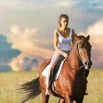 Horsing Around