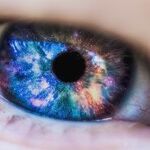 Contacts and Signs