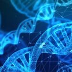 DNA Results