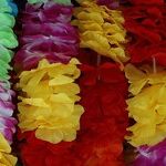 Winter Leis