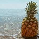 Dishwashers and Pineapples