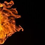 Dish Fire