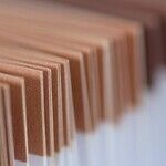 Setting up a Worker Cooperative With an LLC