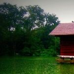 Owning a Home -- From Mortgage to Showers