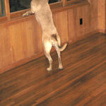 Carpet vs. Hardwood