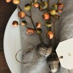 Giving Thanks for Social Security