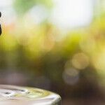 Questions About Spousal Benefits Never Stop