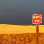 An Old and Whacky Social Security Rant